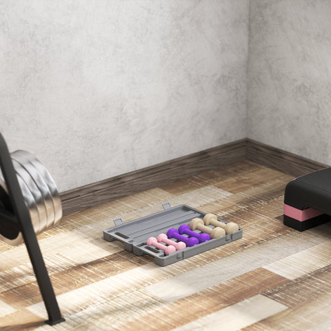 Rootz Dumbbell 6 Set with Suitcase - Weights - Adjustable for Home & Gym - Space-Saving - 43x18x7.5 cm - Dumbbells: Pink and Purple