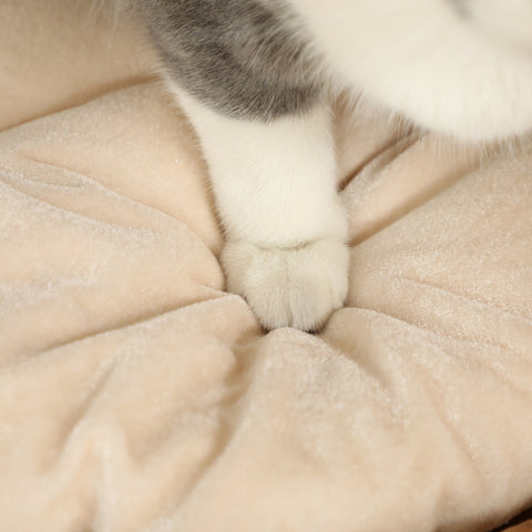 Rootz Scratching Barrel Cat Tower - Cat Condo - Cat Tree - Cozy Caves - 40cm x 50cm x 22cm - Ideal for Cats Up to 3.5kg