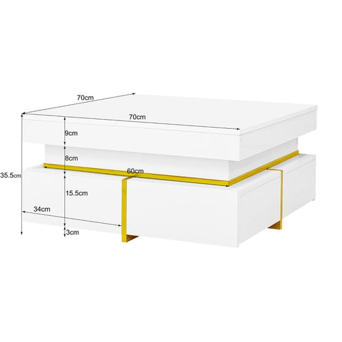 Rootz Coffee Table - High Gloss - Luxury Gold Accents - Ample Storage - 70L x 70W x 35.5H cm