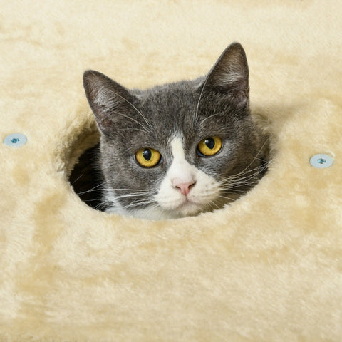 Rootz Cozy Chic Cat Tree - Elegant Feline Tower - Braided Reed Coaching - Plush Coverings - Scratching Posts - Sisal - 45cm x 40cm x 74cm