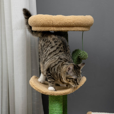 Rootz Cactus Design Cat Tree - Scratching Post - Climbing Cat Tree - Sisal Wrapped Posts - Chipboard Base - Teddy Velor - 40cm x 35cm x 72cm
