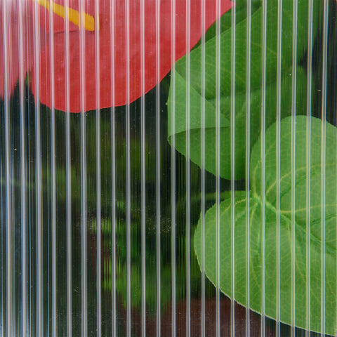 Rootz Mini Greenhouse - Compact Wooden Plant House - Tomato Shelter - Polycarbonate Panels - Ventilation - 90L x 52W x 49.5H cm