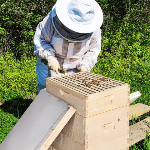 Rootz Beehive Kit - Wooden Bee Hive - Apiary Set - Solid Fir Wood - Galvanized Metal Lid - 58.2cm x 48cm x 56.6cm