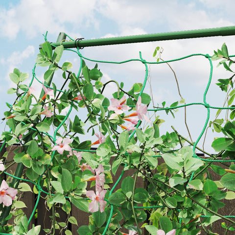 Rootz Garden Rose Trellis - Climbing Plant Support - Rustproof Tanning Aid - Weatherproof Steel - 101cm x 133cm x 227cm