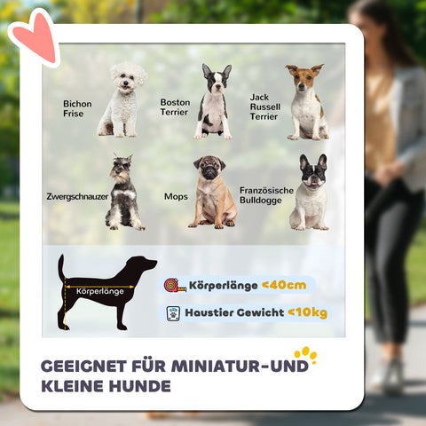 Rootz Foldable Hundbuggy - Dog Car - Pet Stroller - Comfortable Travel - 81cm x 58cm x 97.5cm -Green, White