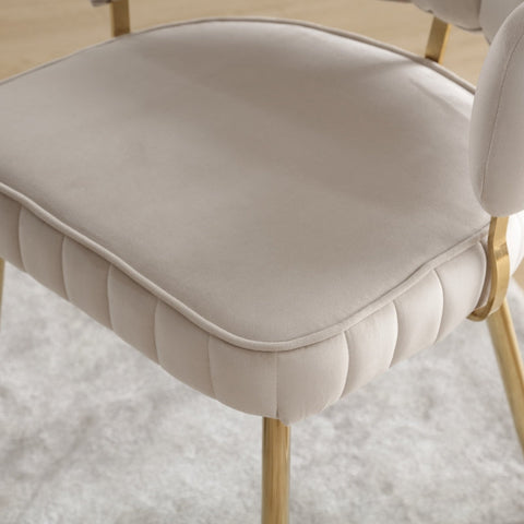 Rootz 2 Piece Velvet Dining Chair Set - Soft Velvet Chairs - Ergonomic Seating - Lumbar Support - 56cm x 58cm x 78cm