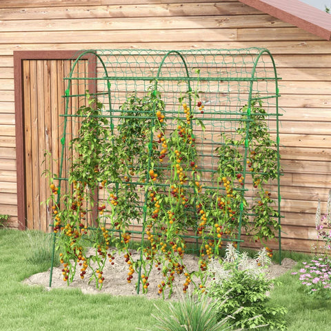 Rootz Large Arch - Bird Net - Trellis With Net - Easy Assembly - Metal - Plastic Clip - Green - 144 x 167 x 206 cm