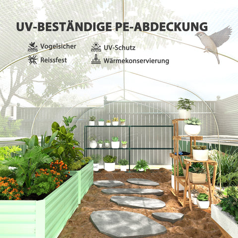 Rootz 6x3x2 m Greenhouse - Walk-in Garden House - Plant Shelter - UV Resistant - 595cm x 300cm x 200cm