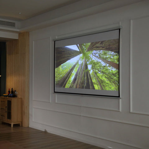 Rootz Projector Canvas - Projection Screen - Home Theater - Adjustable Viewing - 203cm x 152cm - 100-Inch Display