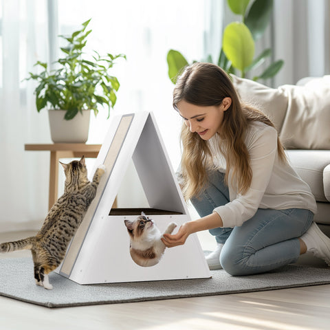 Rootz Katzenhaus 2-Level Cat House - Cat Condo - Cat Shelter - Scratch Areas - Plush Carpets - 61x38x69cm