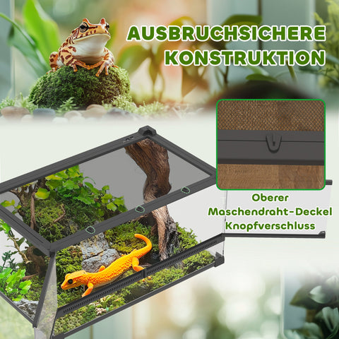 Rootz Glass Terrarium for Reptiles - Vivarium - Waterproof Vivarium - Increased Floor - 50cm x 30cm x 25cm