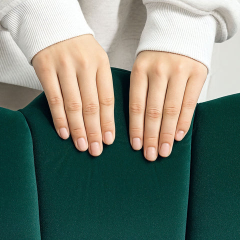 Rootz Fautalilage Coquillage Armchair - Velvet Chair - Shell Back Chair - Stylish Comfort - 66cm x 66cm x 78.5cm