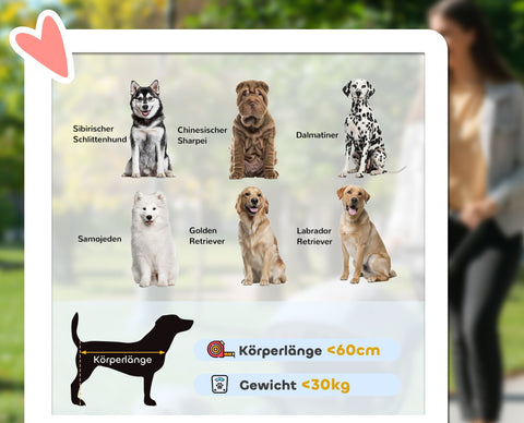 Rootz Dog Car - Pet Buggy - Foldable Carrier - Easy Storage - 110cm x 65cm x 102cm - Red