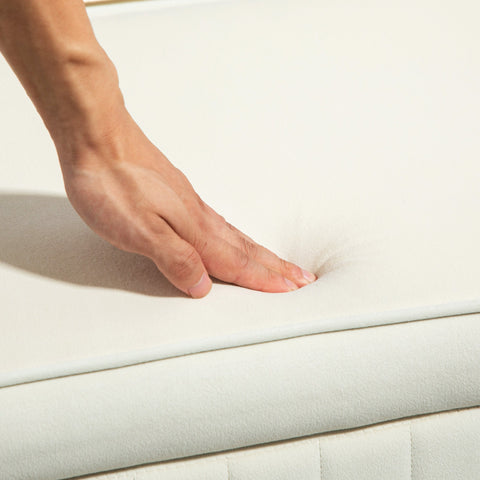 Rootz Storage Bench with Hinged Lid - Upholstered Seat - Velvet Fabric - 19 Gallons Storage - 108cm x 43.5cm