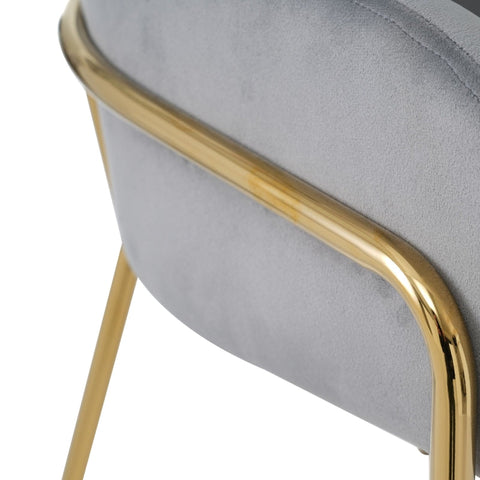 Rootz Velvet Dining Chair - Lounge Chair - Ergonomic Seating - Luxurious Comfort - 53L x 46W x 80H cm