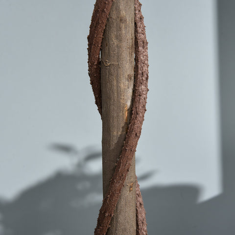 Rootz Set of 2 Artificial Laurel Tree - Faux Trees - Indoor Outdoor Greenery - No Maintenance Needed - 120cm x 16cm