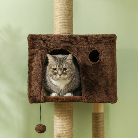 Rootz Floor-to-Ceiling Cat Tree - Cat Condo - Scratching Post - Space-Saving Design - Adjustable 225-265cm - 48L x 40W cm Base