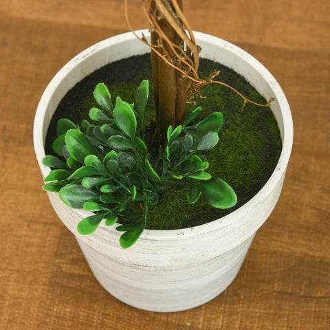 Rootz Set Van 2 Kunstbuxus - Kunstplanten - Inclusief Kunstmos - 1 Plantenbak - Groen - 28 cm x 28 cm x 60 cm