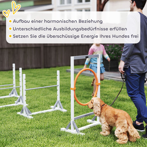 Rootz 4-Part Dog Agility Equipment Set - Training Kit - Exercise Gear - Height Adjustable - Fir Wood & Plastic - 72cm x 40cm x 69cm