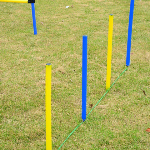 Rootz Dog Agility Tunnel - Yellow, Blue - Pe, Polyester - 58.26 cm x 60 cm x cm