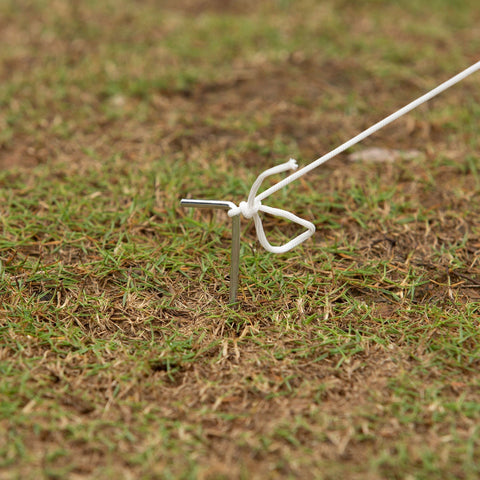 Rootz Gewächshausfolie – Grün – Stahl, PP – 94,48 cm x 70,86 cm x 94,48 cm