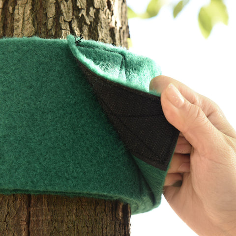 Rootz Ninja Slackline Set - Green, Blue, Red - Polyester, Pp, Wood - 59.05 cm x 5.9 cm x cm