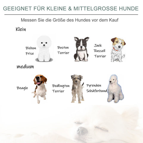 Rootz Haustiersofa – Grün – Samt, Schaumstoff, Birke – 28,74 cm x 22,83 cm x 14,56 cm