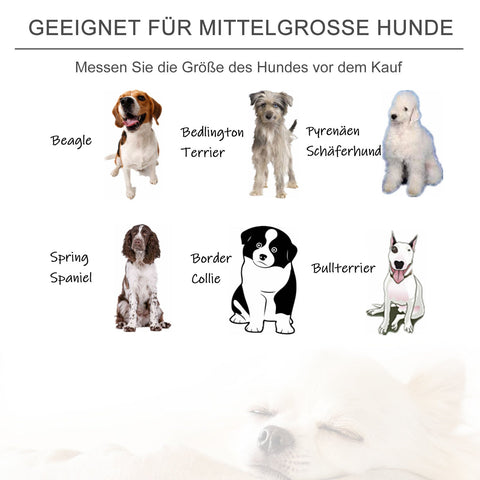 Rootz Haustiersofa – Grau – Niederländisch, Samt, Schwamm – 33,85 cm x 21,65 cm x 12,99 cm