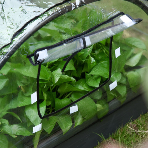 Rootz Plant Tunnel - Transparent - Spruce, Steel, PVC - 47.24 cm x 31.1 cm x 20.86 cm