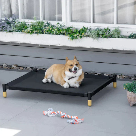 Rootz Pet Bed - Dog Lounger - Dog Bed - Raised Pet - Cat Bed - Dog Sleeping Place - Steel/Mesh Fabric - Zwart - 41" x 30" x 6".