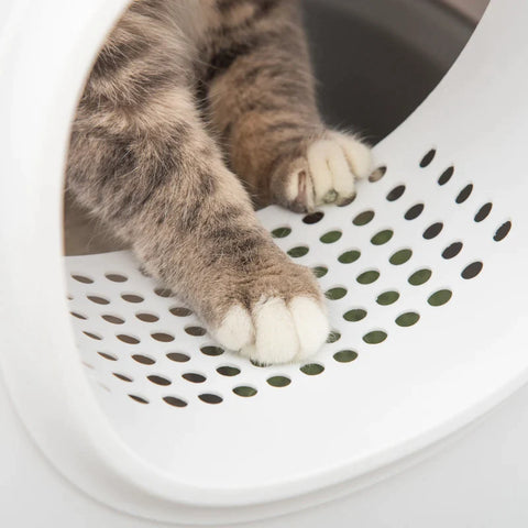 Rootz Cat Litter Box - With Hood For Cats - Up To 5 Kg - Litter Box With Lid - Mesh Base - Plastic - White - 55 x 40 x 39 cm