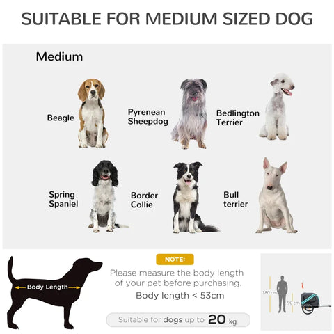 Rootz Pet Trailer - Pet Bicycle Trailer - Bicycle Trailer - Pet Bike Carrier - Folding Rain Cover - Grey/Green - 130 x 73 x 90cm