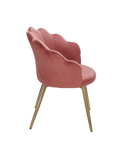 Rootz Dining Chair - Gold-Legged Kitchen Chair - Scandinavian Shell Design - Upholstered Chair with Fabric Cover - Pink Velvet Tulip
