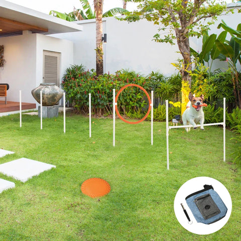 Rootz Agility Set - 5 Pieces - Including Jumping Hurdle - Jump Ring - Frisbee - Height Adjustable - with Carry Bag - White + Blue + Red + Orange - 91L x 4W x 90H cm