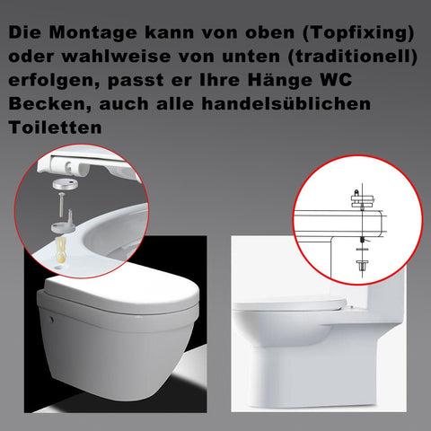 WOLTU WS2543 Klodeckel Wc Sitz Deckel Absenkautomatik, Kunststoff, Fast Fix/Schnellbefestigung, Softclose Scharnier, Antibakteriell