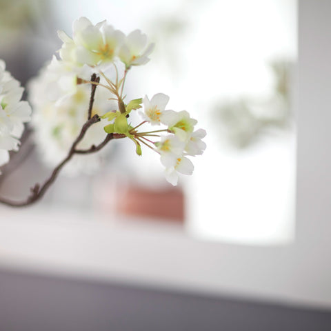 Rootz Wall Mirror - Reflective Glass - Vanity Accessory - Decorative Piece - Room - Aesthetic Display - White - 91x62x3 cm