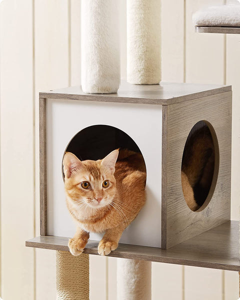 Rootz Scratching Post - Cat House - Cat Cave - With Toy Ball - Cat Tree - Greige - 58 x 40 x 165 cm (L x W x H)