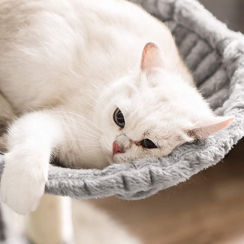 Rootz Cat Tree - Scratching Post - Hammock - Cat Cave - 6 Levels - Gray - Beige - 50 x 50 x 164 cm