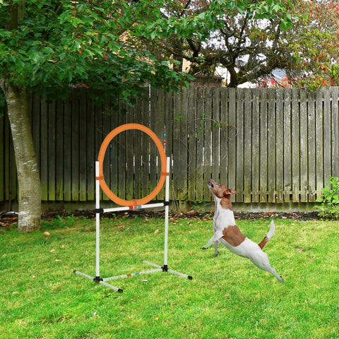 Rootz Dog Training Set - Jumping Ring - Pet Agility - Pet Training - White/Orange - 74.5 x 66 x 91 cm