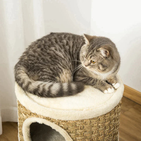Rootz Cat House - Cat Scratching Post - Cat Tree - Cat Climbing Tree  Cat Furniture - 37.5 x 37.5 x 70 cm