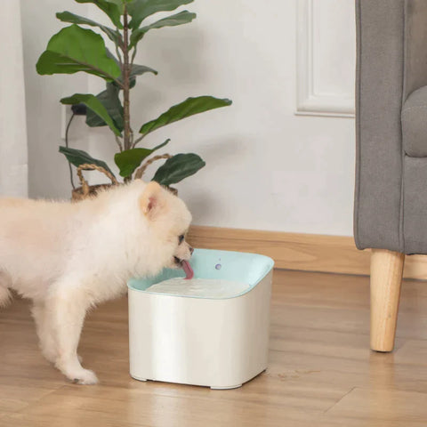 Rootz Pet Drinking Fountain - 3L Cat Fountain with Infrared Detection - Cat Drinking Fountain - 3 Modes Smart Dog Water Fountain - Quiet Automatically - ABS - White + Blue - 21 x 20 x 18 cm