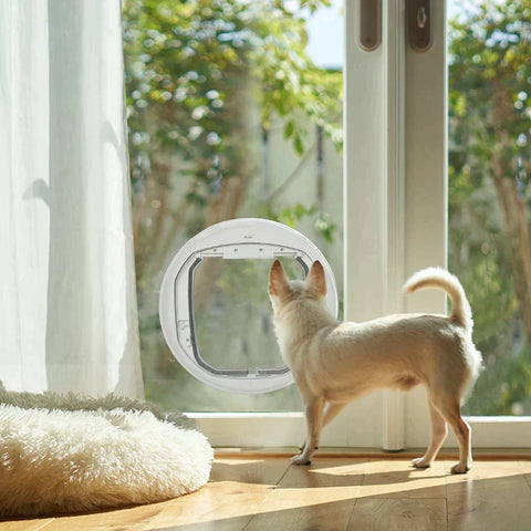 Rootz Pet Door - Cat Flap - Dog Flap - 4 Locking Options With Magnet - Pet Flap For Inside - Door Flap For Pets - White - Ø44 x 4D cm