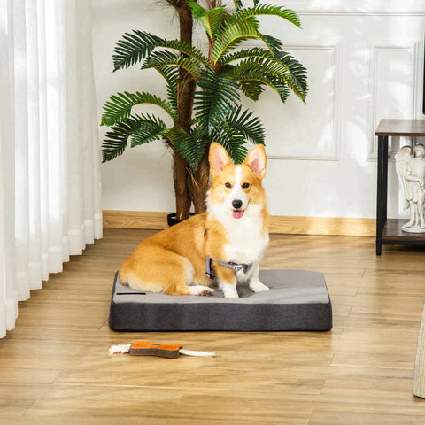 Rootz Pet Bed - Hondenmatras - Hondenmat - Hoes Afneembaar Wasbaar - Linnen Polyester - Fluweel Polyester - PP Katoen - Grijs - 75 x 55 x 20 cm