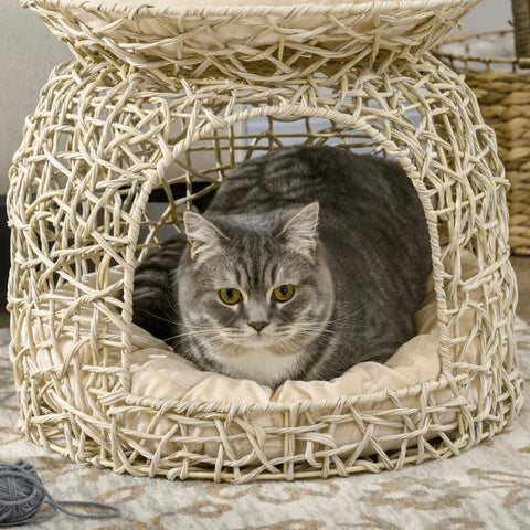 Rootz PE Rattan Cat House - 2 Tier Cat Cave with Cushion - Beige - 42cm x 42cm x 40cm
