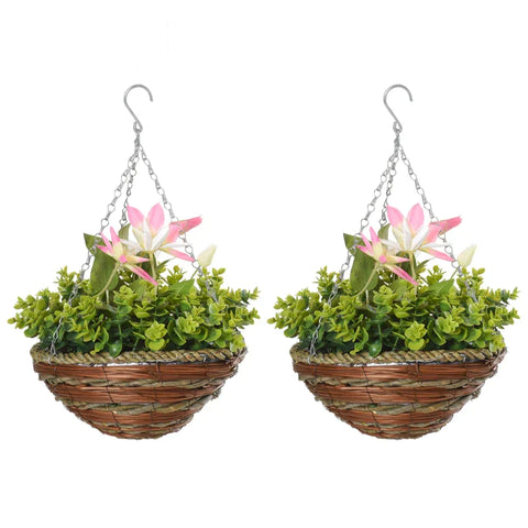 Rootz Clematis Florida Thunb - 2 Artificial Clematis Flowers - Artificial Plants Hanging - Plant Clematis In A Pot - With Hooks Decoration - Pink/Green - 30 x 30 x 32 cm