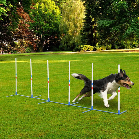 Rootz Dog Agility Set - Dog Training Kit - Dog Braiding Rod - Storage Bag - Poles Agility Training For Pets Dog - White/Blue - 305 x 60 x 94 cm