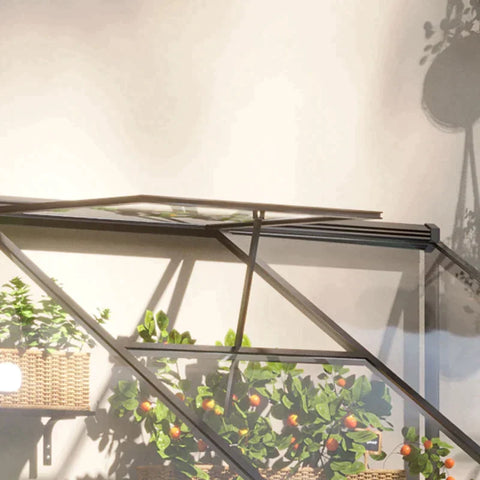 Rootz Greenhouse - Cold Frame Greenhouse - Zijtuinschuur - Met Verstelbaar Dak - Zwart/Helder - 182L x 122B x 194H cm