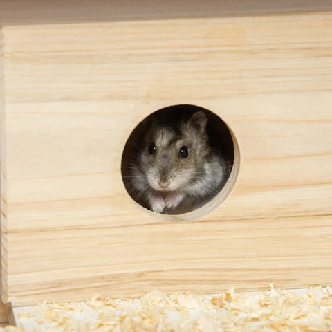 Rootz Small Animal Cage - Hamster Cage - Wooden Hamster Cage - Mice Rodent Small Animals Hutch - Double Layers - Exercise Play House - With Sliding Tray - Running Wheel - 63.5 x 62 x 78 cm