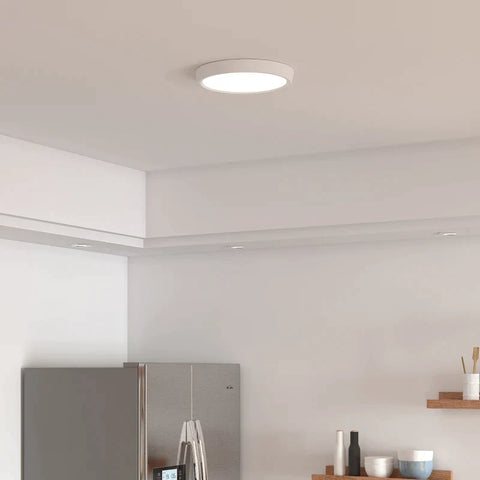 Rootz Ceiling Light - Smart LED - App And Voice Control - Remote Control - Timer - Many Colours - Ø30 x 3.2cm