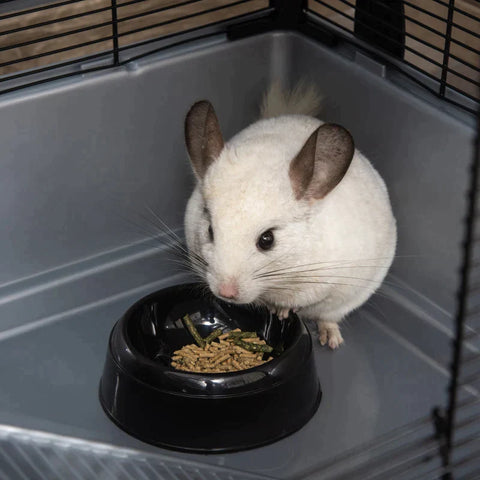 Rootz Small Animal Cage - Small Animal Hutch - Pets Cage - Small Animal Enclosure Rodent Cage - With Ramp - Steel/Aluminum - Plastic Black/Grey - 80 x 48 x 58 cm